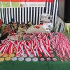 Biegi Uliczne 2014